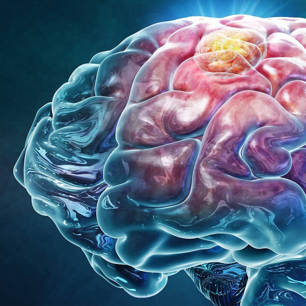 Brain-Tumor-Program-Main-Image-1024×1024