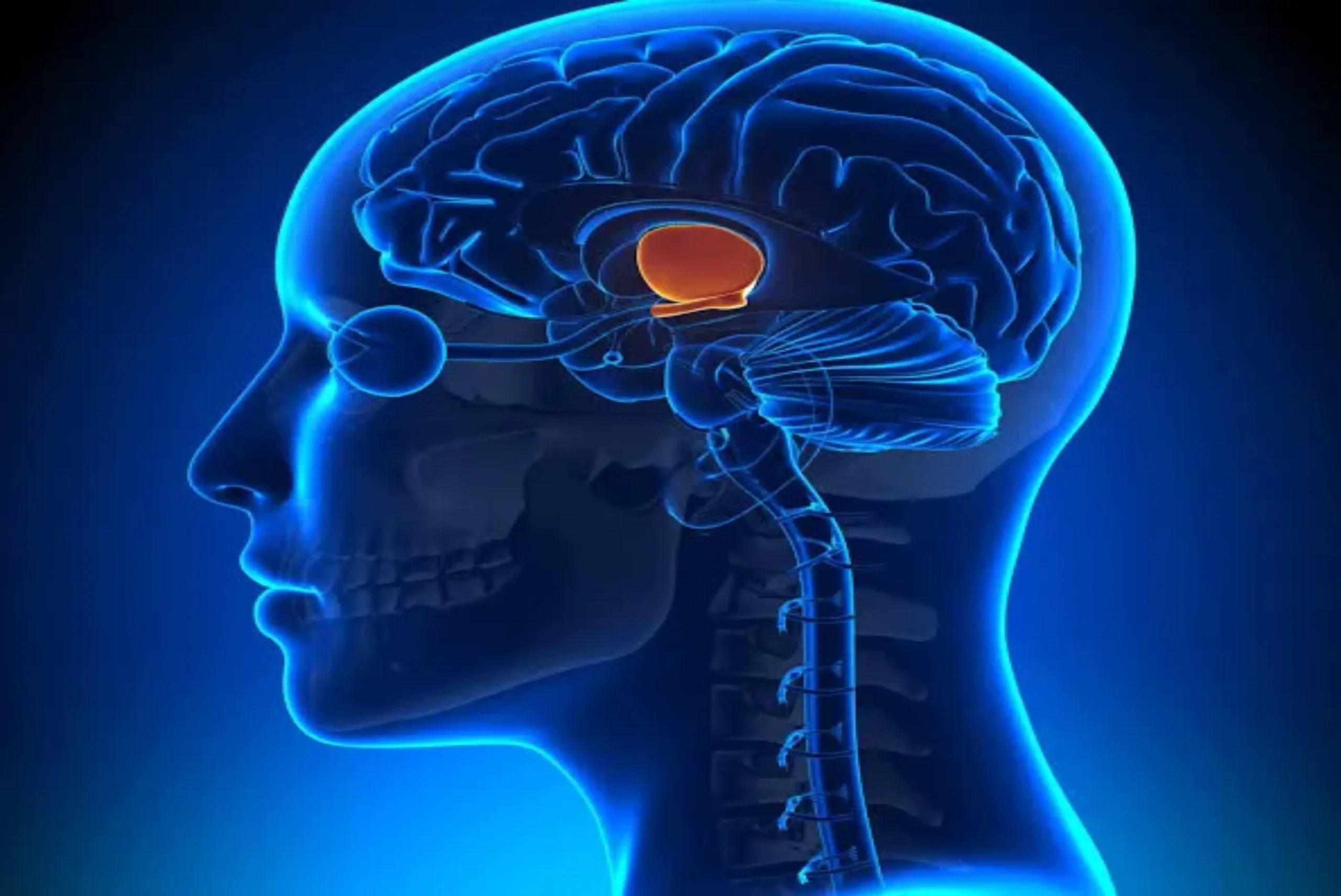 cdm neurology centre in zimbabwe dr mutama godknows kangara spine doctors (26)